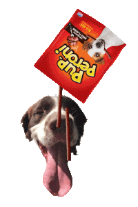 PupperoniTreats happy dog yes excited Sticker