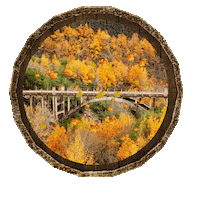 Fall Autumn Sticker