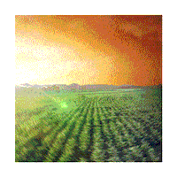 Agro Agronegocio Sticker by IHARA