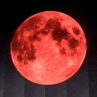 Yg Entertainment GIF