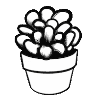 Plants Cactus Sticker