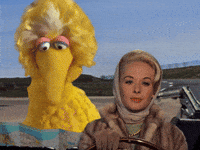 Driving Sesame Street GIF by Bell Brothers