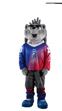 Sport Mascot Sticker by FinHockey