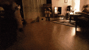 traps booby GIF