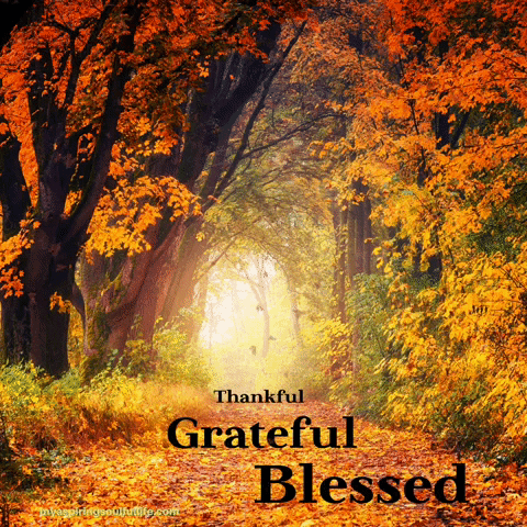 jackiecooper2891 giphyupload fall autumn leaves GIF