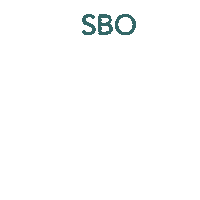 Sbo Sticker by Creative Label