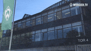 bundesliga weserstadion GIF by SV Werder Bremen