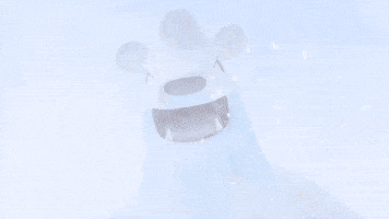 Polar Bear GIF by Pokémon