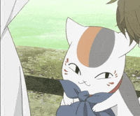 Cat Nyanko Sensei GIF