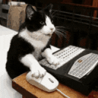 GIF by Production Club