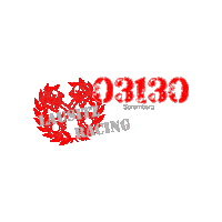 Power Racing Sticker by Lausitz-Racing