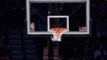 celebrate brooklyn nets GIF by NBA