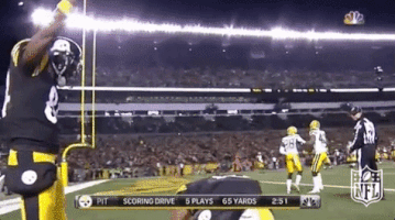 Pittsburgh Steelers Football GIF by NFL