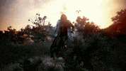 Game Mmo GIF by BlackDesert