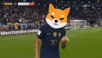 Shiba Inu GIF by SHIB MEMES