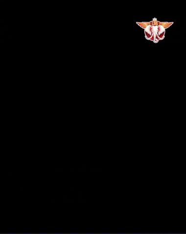 Rishabh Pant GIF