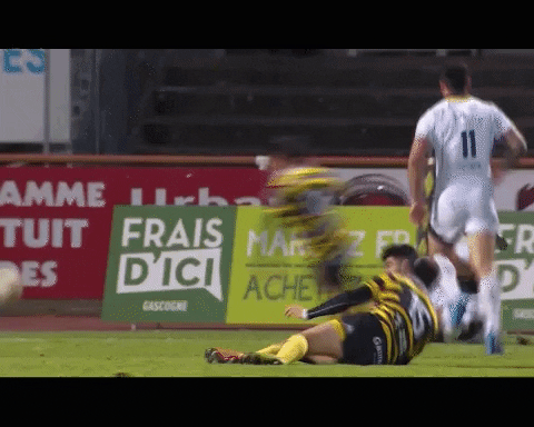 Stade_Montois_Rugby giphygifmaker rugby pro d2 essai GIF