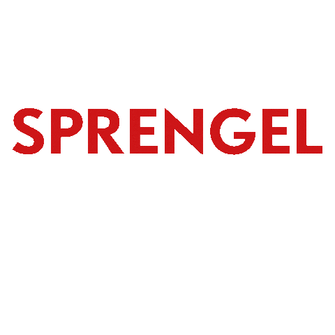 SprengelMuseumHannover giphyupload sprengel sprengelmuseum sprengelfüralle Sticker