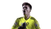 luanpolli sport futebol goalkeeper gk Sticker