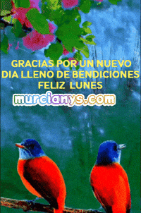 Nuevo Dia Gracias GIF by Murcianys LLC
