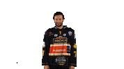 Goal Hockey Sticker by HC Pustertal Wolves