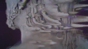 Ultra Music GIF by Ultra Records