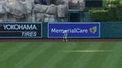 Sport Wow GIF by MLB