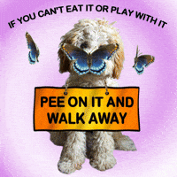 Funny Puppy Walk Away GIF