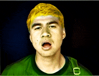 Wildflower GIF by 5 Seconds of Summer