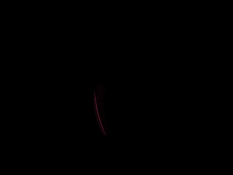 GIF by Casiopea