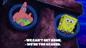 season 9 GIF by SpongeBob SquarePants