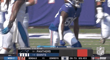 New York Giants Football GIF by NFL