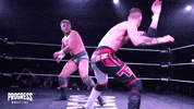 Sport GIF by PROGRESS Wrestling