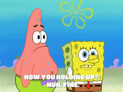 season 8 episode 20 GIF by SpongeBob SquarePants