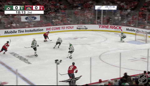 Florida Panthers Celebration GIF by NHL