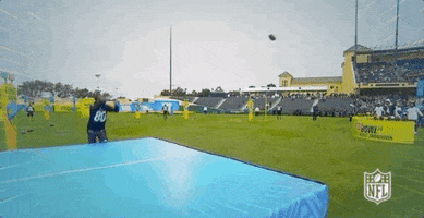 National Football League GIF by NFL