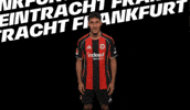 Vamos Lets Go GIF by Eintracht Frankfurt