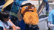 Sport Fan GIF by National Women's Soccer League