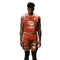 Baller Avis Sticker by Rapla Korvpallikool
