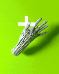 Style Frame Animation GIF by alperdurmaz