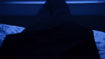 the ring GIF by Topshelf Records