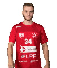 rdslovan slovenija slovan rokomet rdslovan Sticker