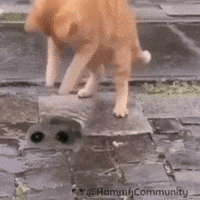 Dance Dancing GIF by Sad Hamster