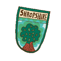 Patch Shropshire Sticker by Bestival