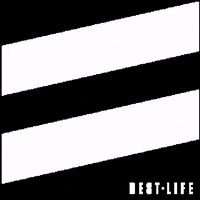 bestlifeleashes dogs puppy adopt adoption GIF