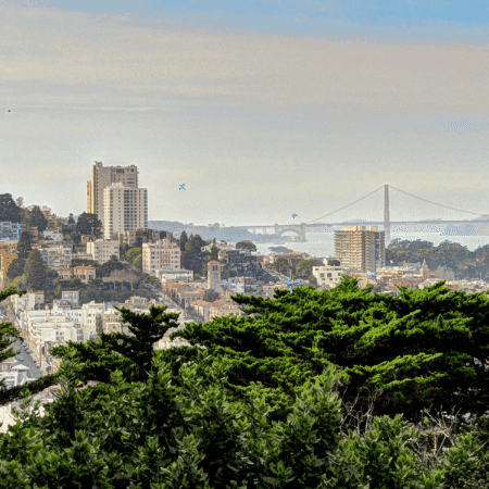 wendy-horton giphygifmaker giphyattribution GIF