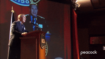 Dwight, The Dunder Mifflin Salesman of the Year