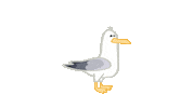 Seagull Gull Zeemeeuw Meeuw Haring Noordzee Scheveningen Zeeland Sticker by Allie the Ellie