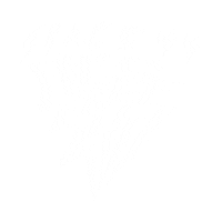 Skegss Sticker by Space 44