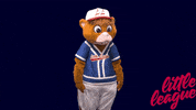 Baseball Crowd GIF by Little League International